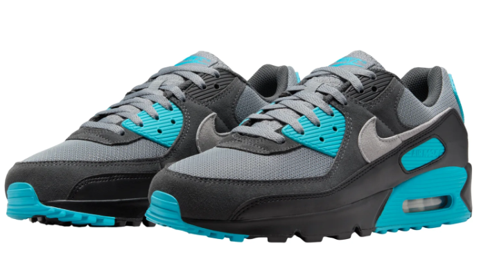 Nike Air Max 90 Dusty Cactus – Cool Grey / Black (DM0029-013)