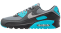 Nike Air Max 90 Dusty Cactus – Cool Grey / Black (DM0029-013)